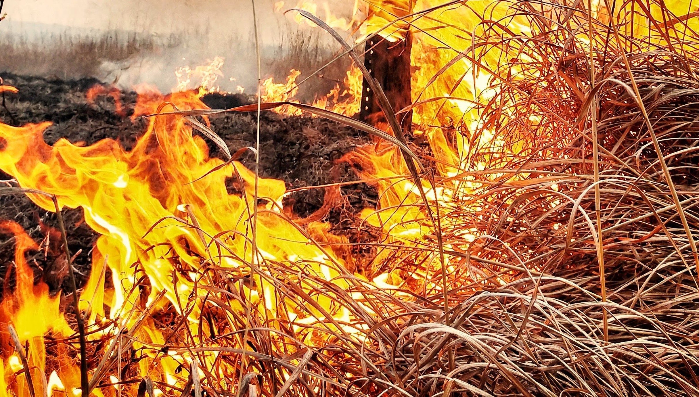 Elda säkert ute: image