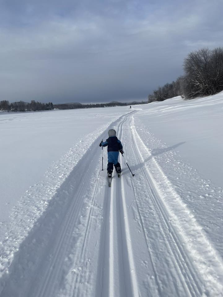 Bild visar barn som åker skidor i ett skidspår