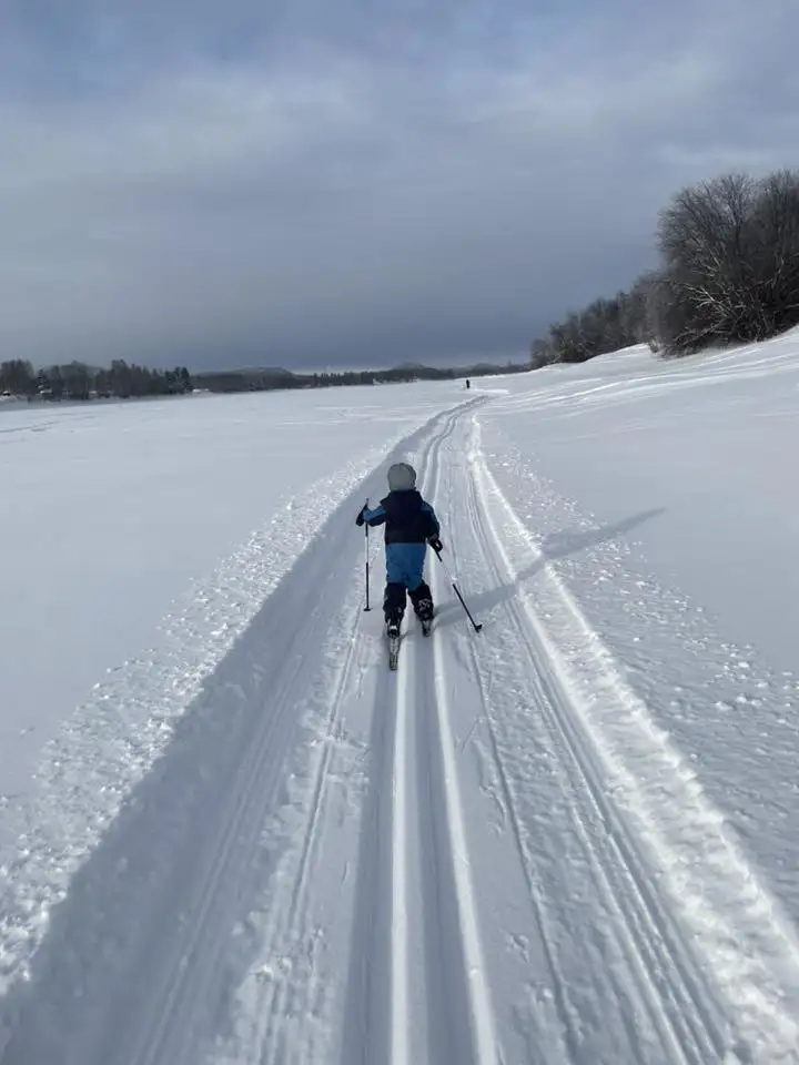 Bild visar barn som åker skidor i ett skidspår