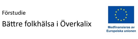 Förstudie bättre folkhälsa - Medfinansieras av EU