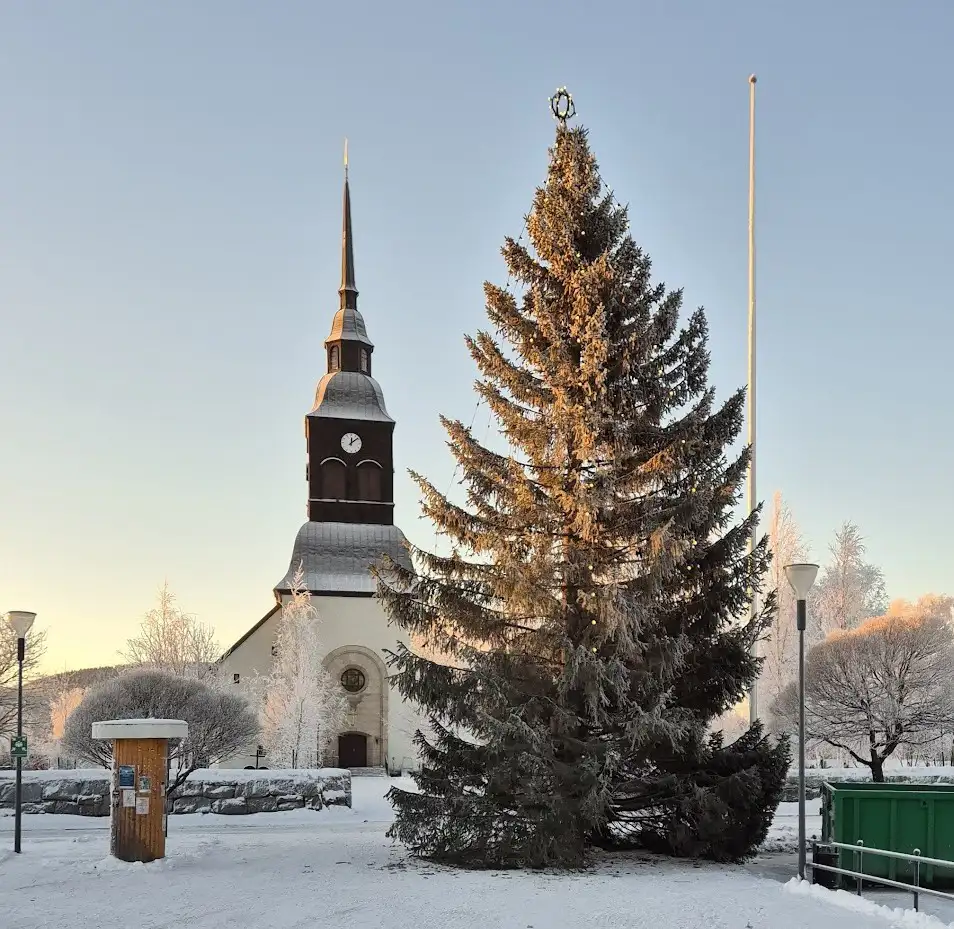 En gran med belysning framför en vit kyrka med svart tak