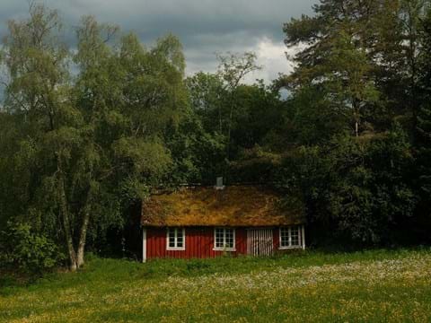 Röd stuga omgiven av grönska