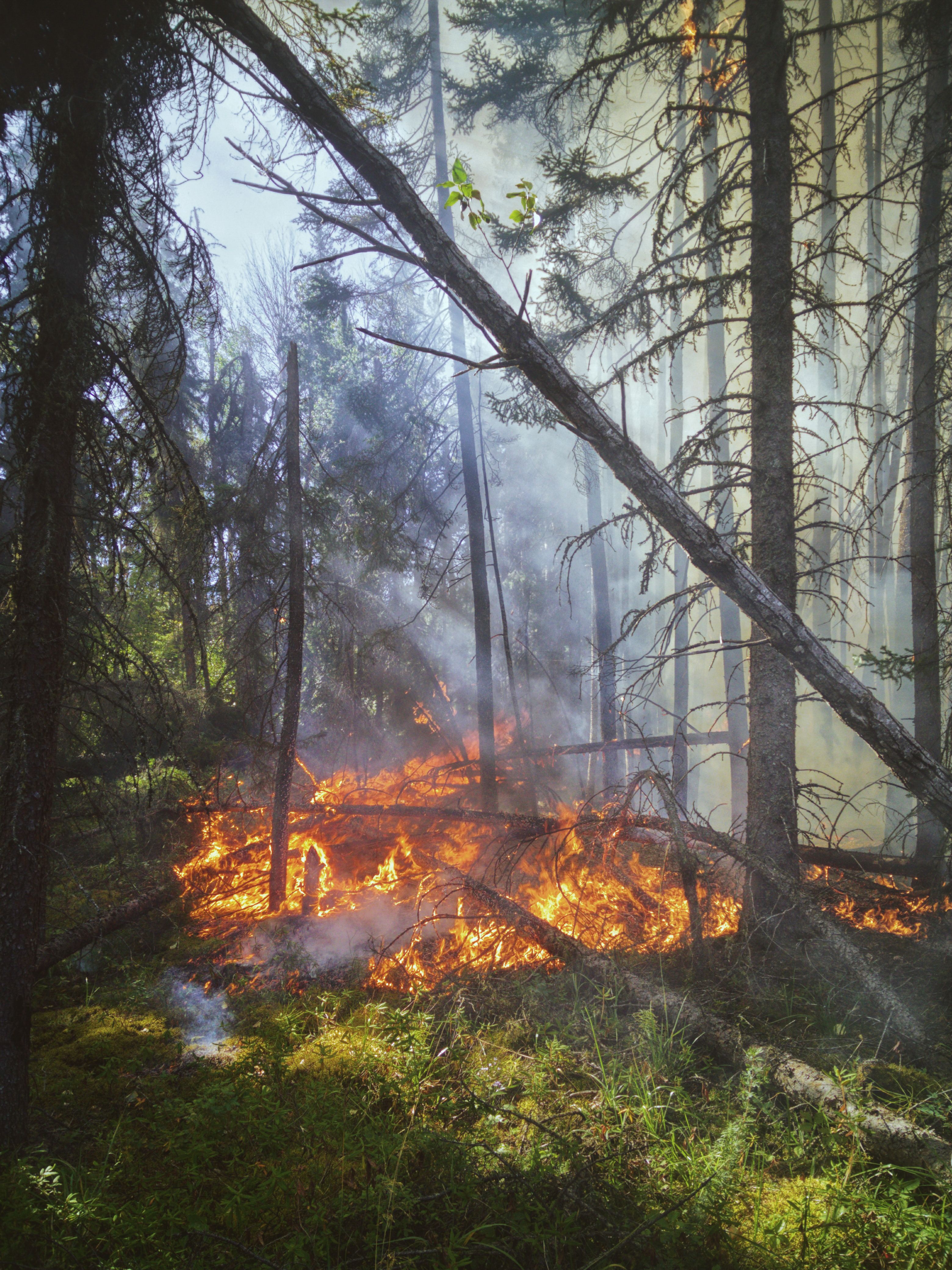 news image for: Nyheter