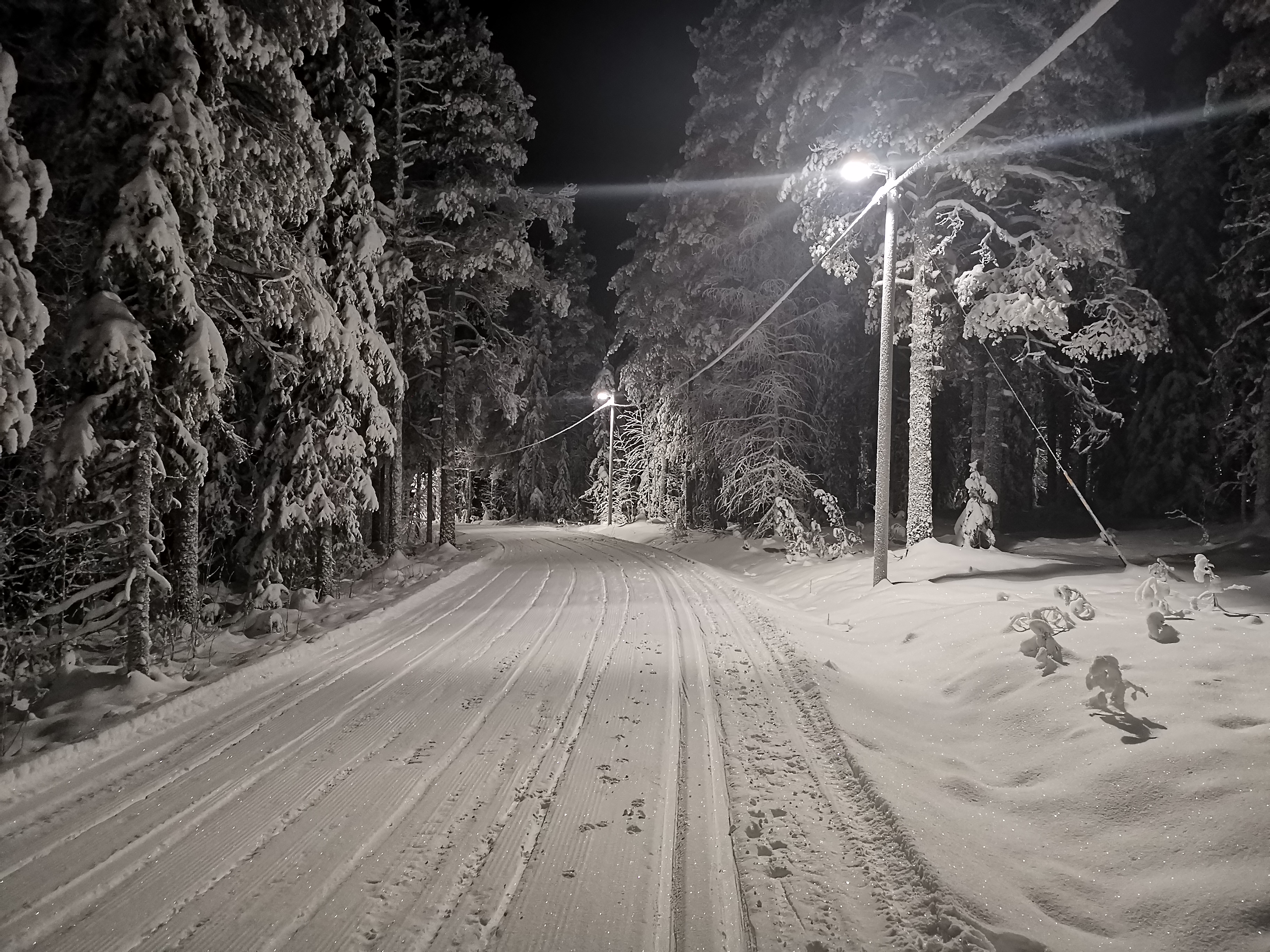 Längdspår på Lappberget: image