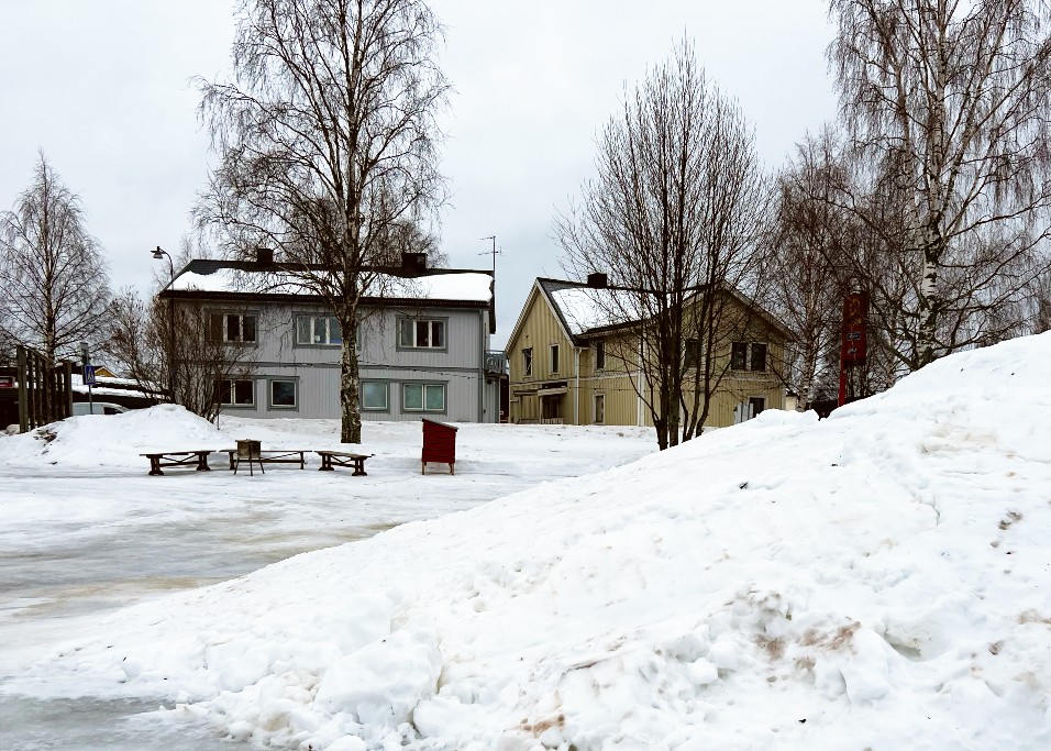 Vinterlek i Blåskoleparken: image