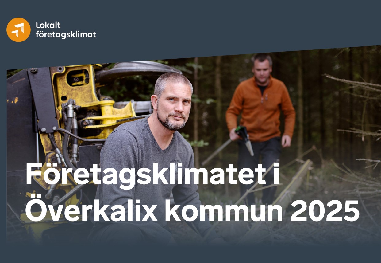 Årets näringslivsranking har presenterats: image