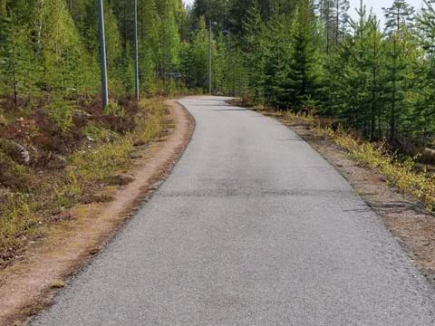bilden visar en asfalterad väg med tallskog på sidorna