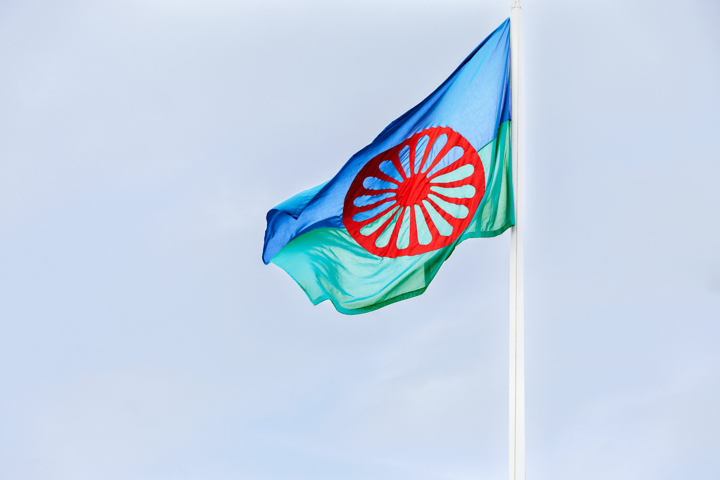 den romska flaggan har ett nedre grönt fält och ett övre blått, ett rött hjul i mitten 