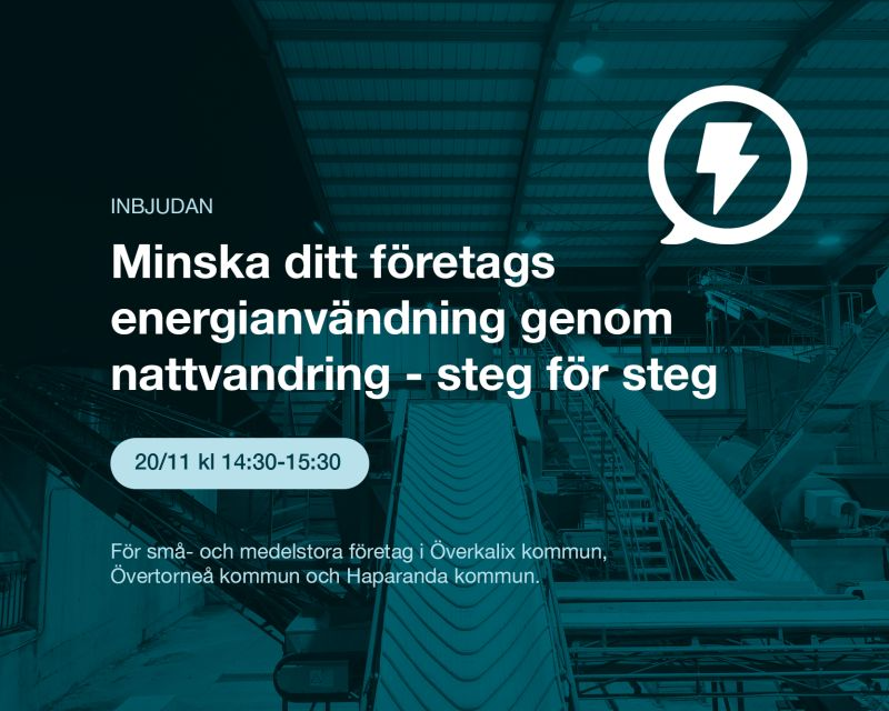 Webbinarium för företagare - upptäck energitjuvarna: image