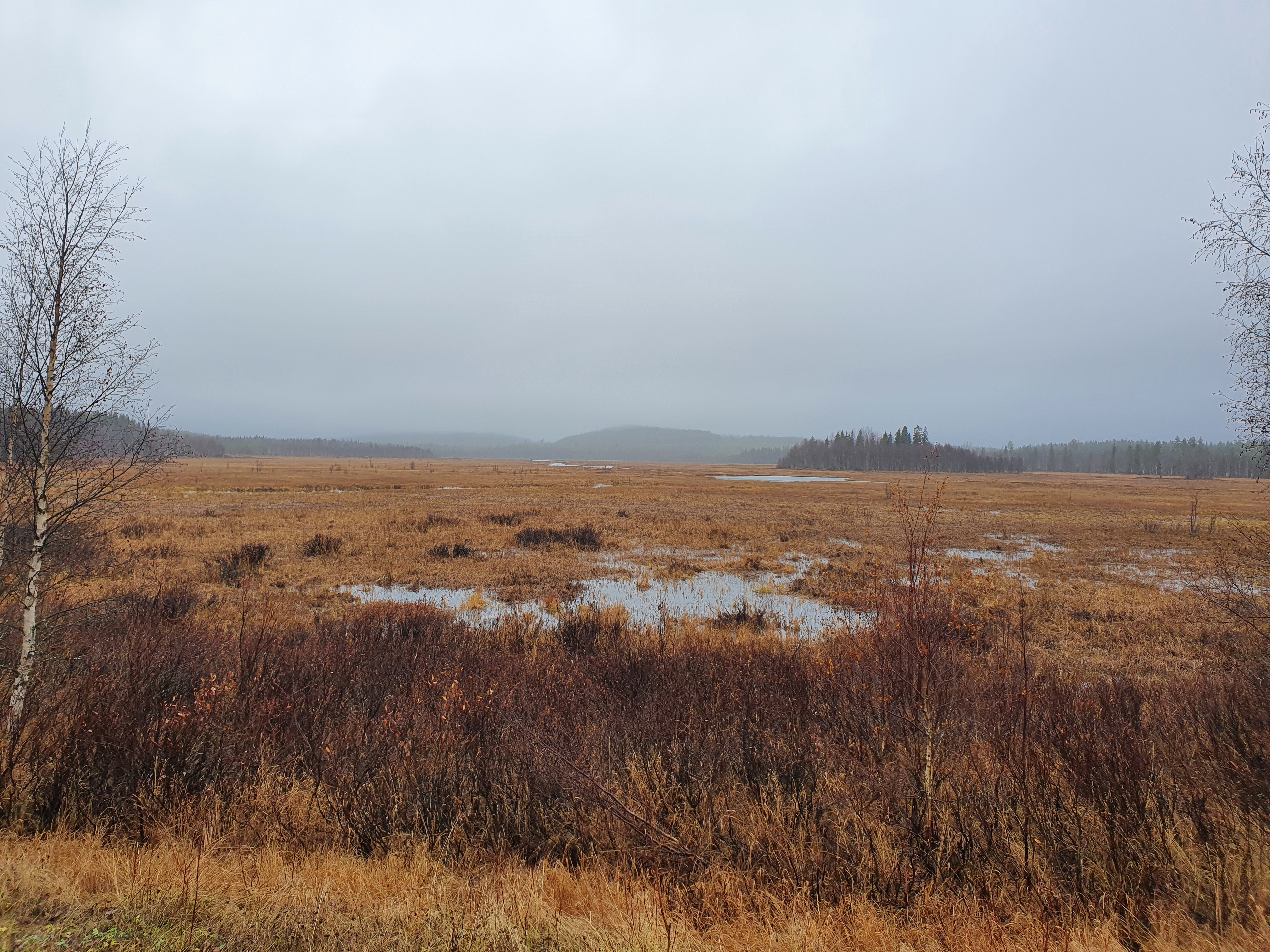 Resultatet av våtmarksprojektet redovisades: image