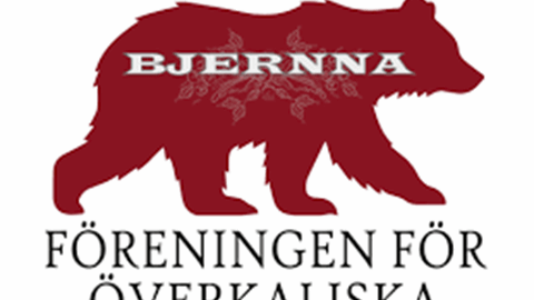 Överkaliska språkdagen- Veilkimin!