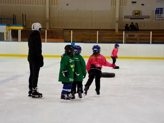 Skogshallen öppen för allmänhetens skridskoåkning: image