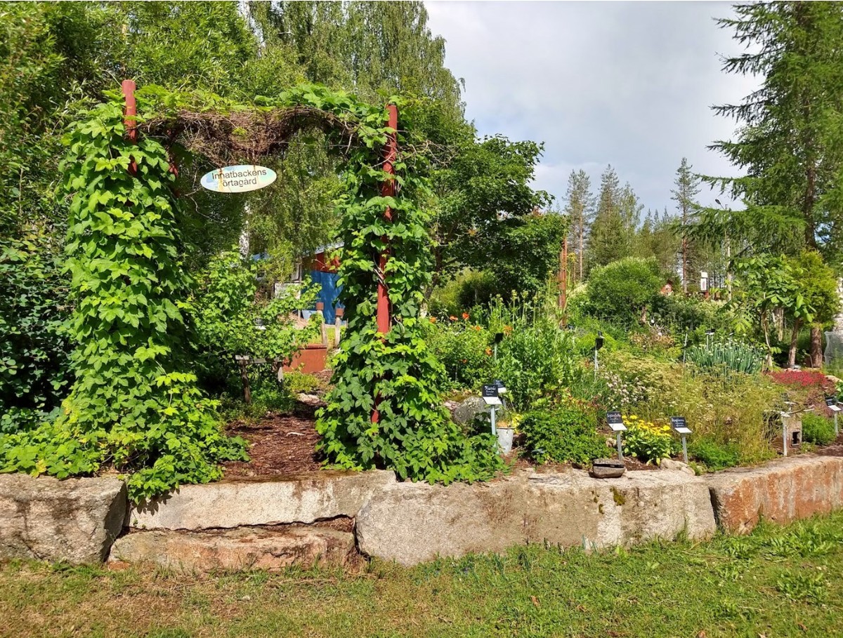 Besök på Innatbackens Örtagård