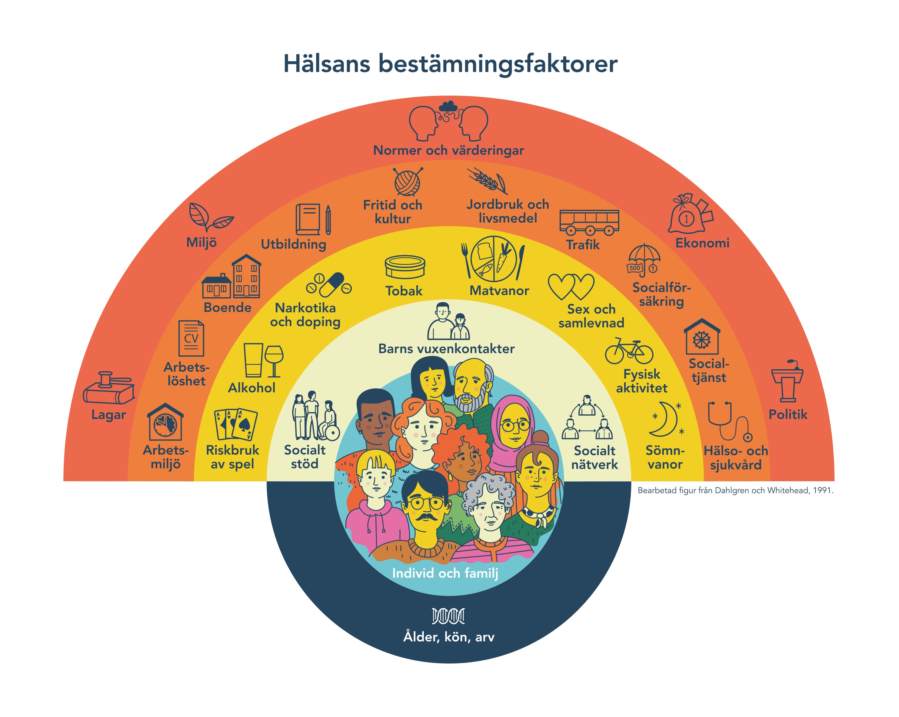 Diagram över hälsans bestämningsfaktorer.