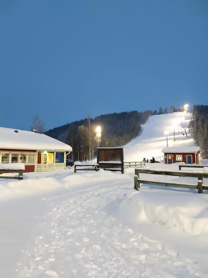 Skidbacke med snö