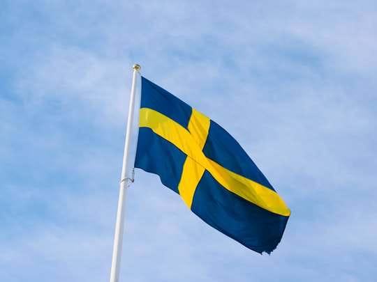 Tillfällig allmän flaggdag 15 september - Temporary flag day 15 september: image