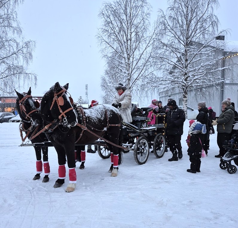 två hästar drar en vagn med barn