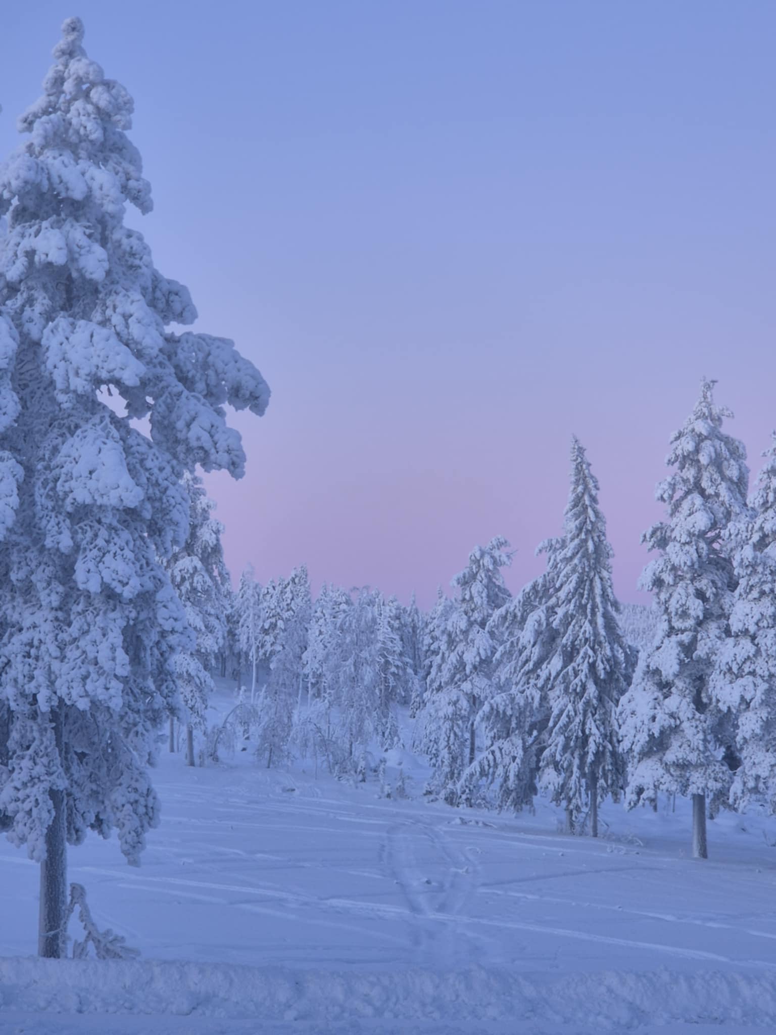 Vinterproffs eller nybörjare? Workshop