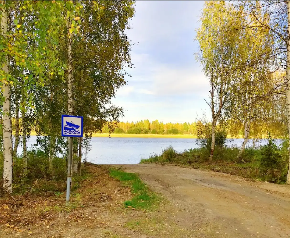 älv omgiven av björkar