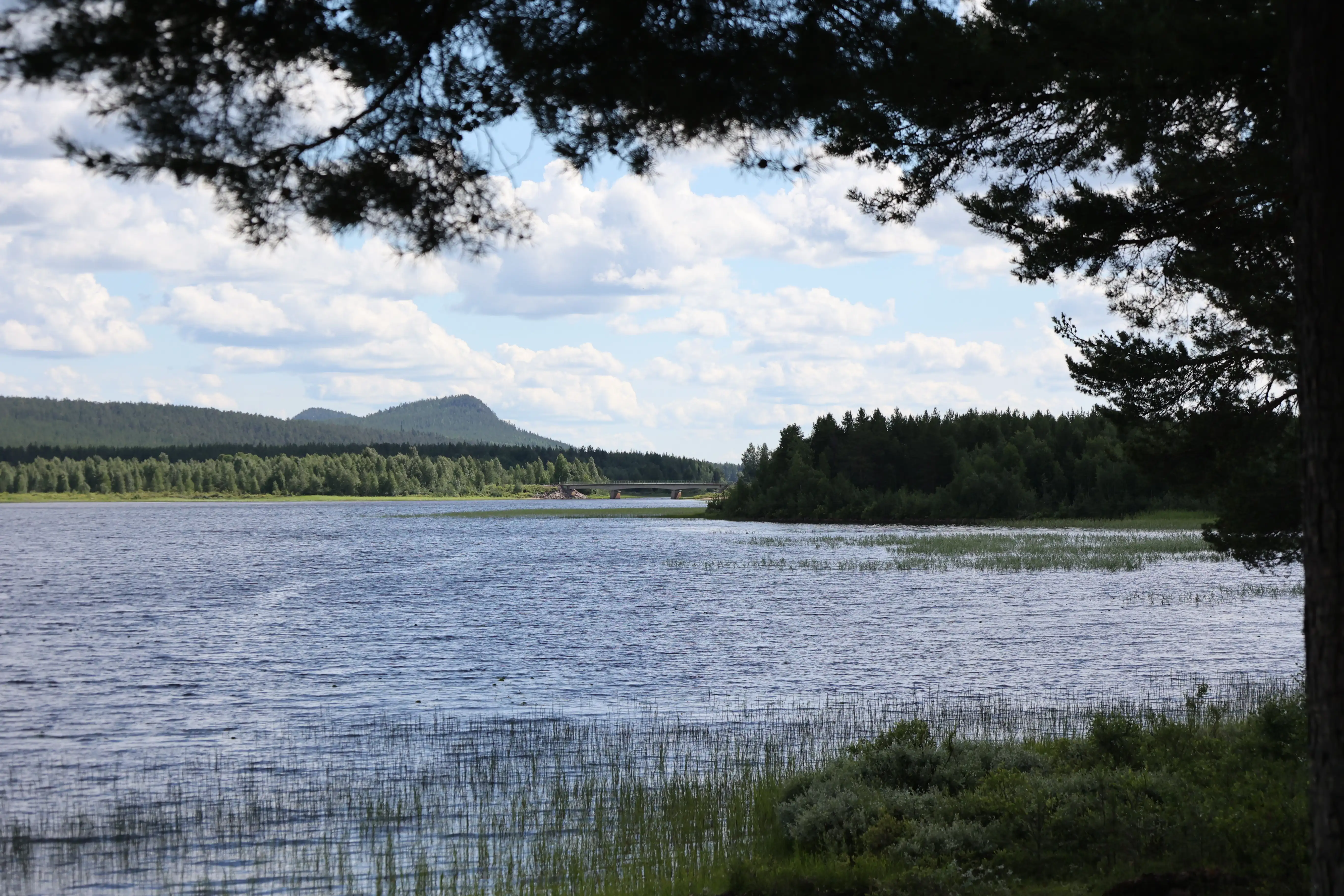 Sommarbild av sjö med berg i bakgrunden