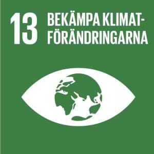 grafisk bild av öga med jordglob mål nummer 13 glokala målen bekämpa klimatförändringarna