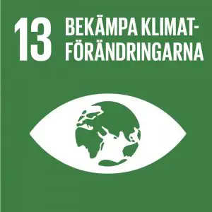 grafisk bild av öga med jordglob mål nummer 13 glokala målen bekämpa klimatförändringarna
