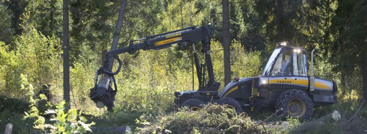 en skogsmaskin som kör i skogen